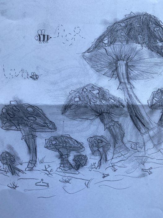 Leo - Age 9 "Forest of Mushrooms"