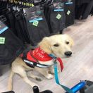 Megan and her Assistance Dog Milo